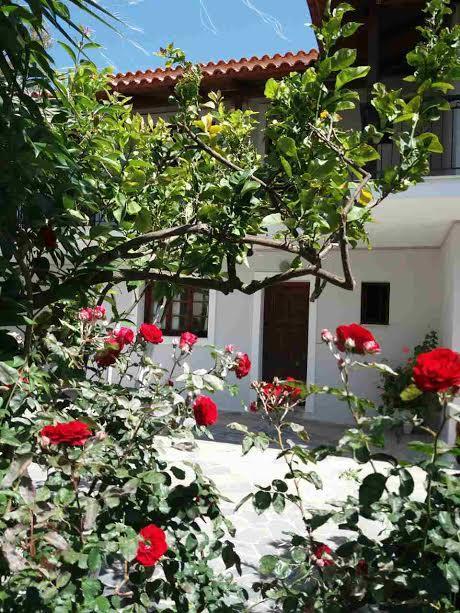 Athina Apartments Argassi Extérieur photo